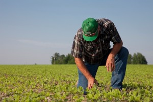 agricoltorejpg